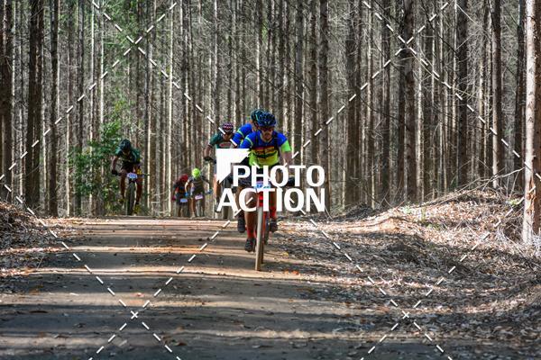Buy your photos of the event16� Edi��o Maratona 100Km Canaviais on Fotop
