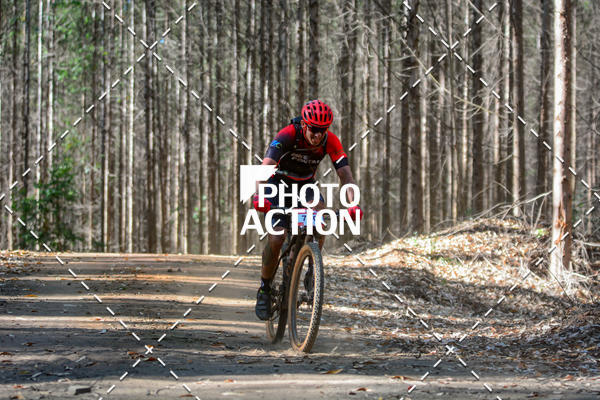 Buy your photos of the event16� Edi��o Maratona 100Km Canaviais on Fotop