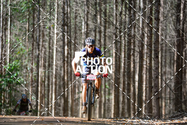 Buy your photos of the event16� Edi��o Maratona 100Km Canaviais on Fotop