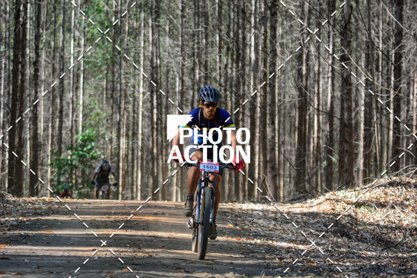 Buy your photos of the event16� Edi��o Maratona 100Km Canaviais on Fotop