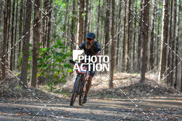 Buy your photos of the event16� Edi��o Maratona 100Km Canaviais on Fotop