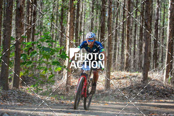 Buy your photos of the event16� Edi��o Maratona 100Km Canaviais on Fotop