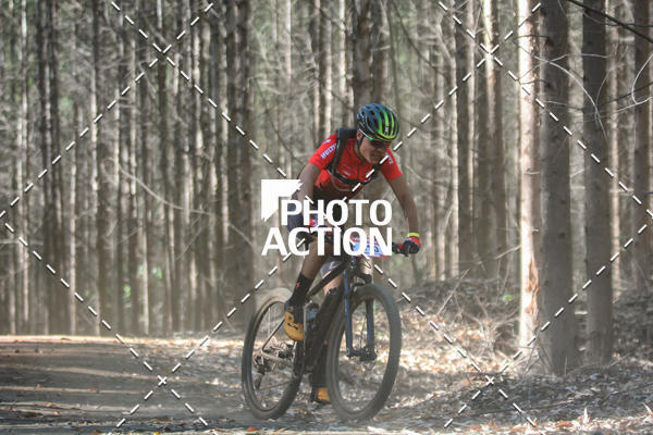 Buy your photos of the event16� Edi��o Maratona 100Km Canaviais on Fotop