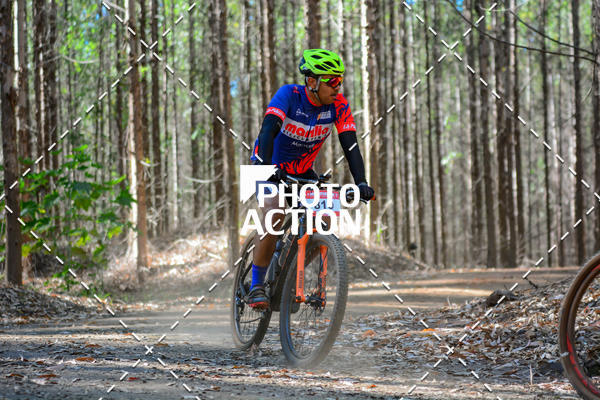 Buy your photos of the event16� Edi��o Maratona 100Km Canaviais on Fotop