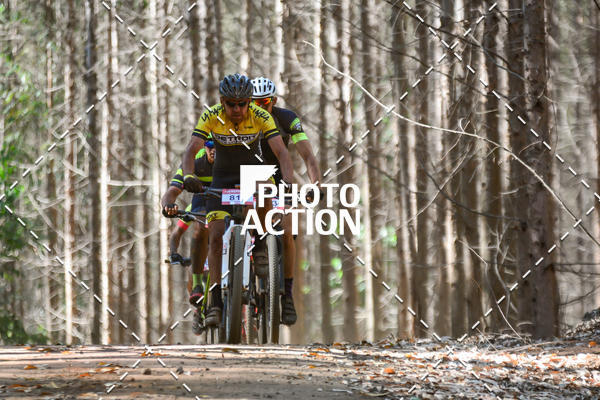 Buy your photos of the event16� Edi��o Maratona 100Km Canaviais on Fotop