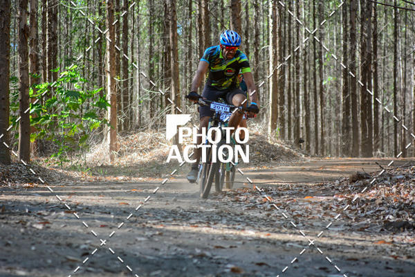 Buy your photos of the event16� Edi��o Maratona 100Km Canaviais on Fotop