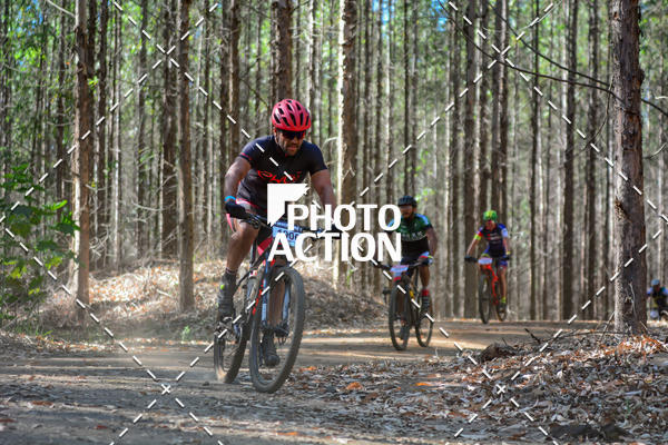 Buy your photos of the event16� Edi��o Maratona 100Km Canaviais on Fotop