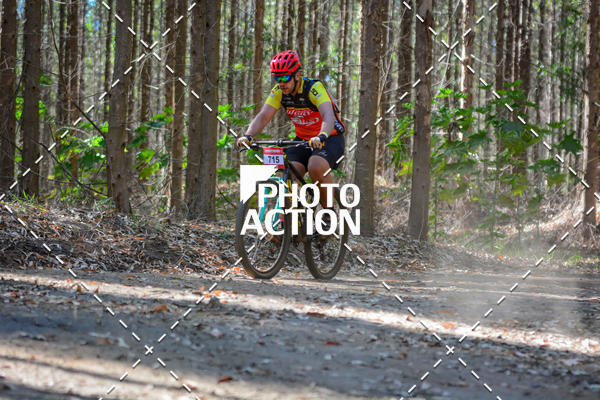 Buy your photos of the event16� Edi��o Maratona 100Km Canaviais on Fotop