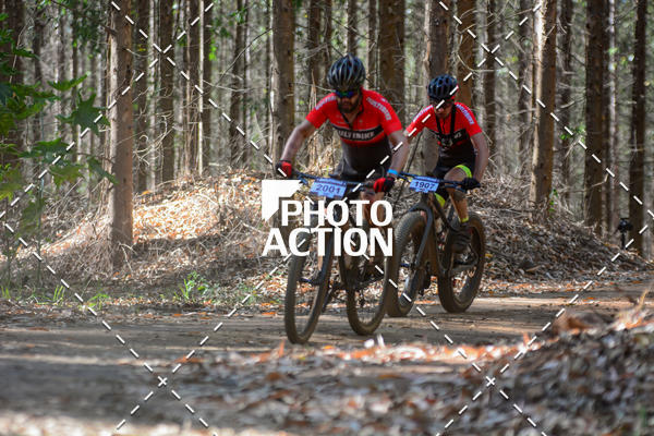 Buy your photos of the event16� Edi��o Maratona 100Km Canaviais on Fotop