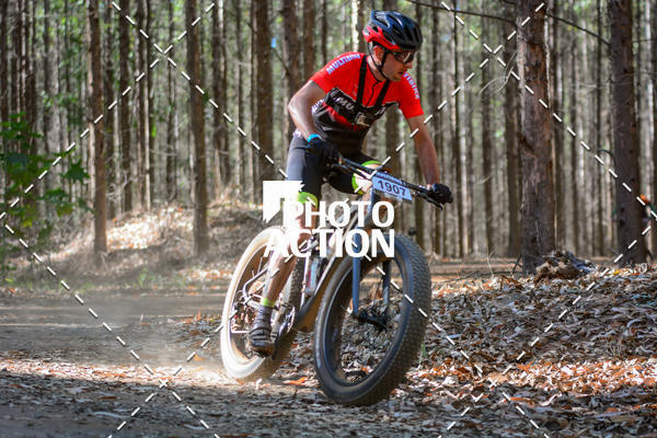 Buy your photos of the event16� Edi��o Maratona 100Km Canaviais on Fotop