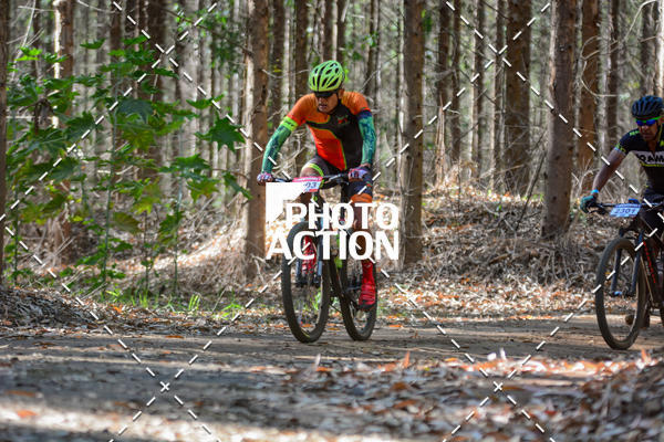 Buy your photos of the event16� Edi��o Maratona 100Km Canaviais on Fotop