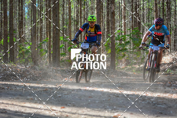 Buy your photos of the event16� Edi��o Maratona 100Km Canaviais on Fotop