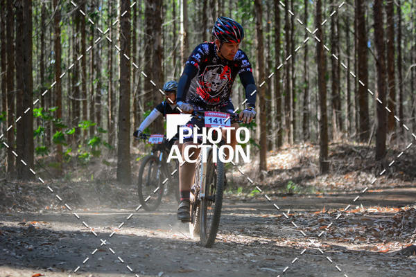 Buy your photos of the event16� Edi��o Maratona 100Km Canaviais on Fotop