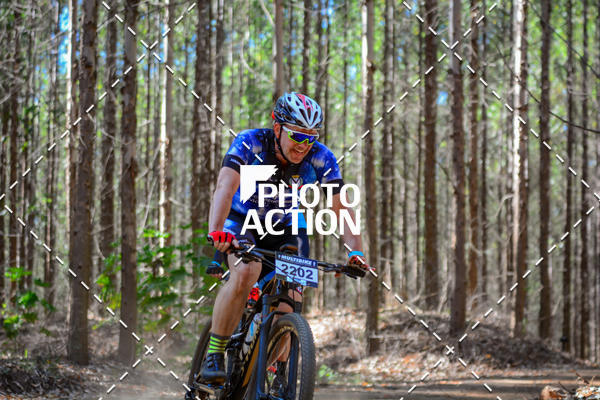 Buy your photos of the event16� Edi��o Maratona 100Km Canaviais on Fotop