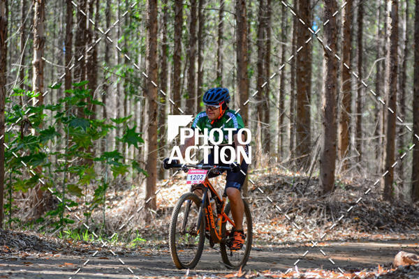 Buy your photos of the event16� Edi��o Maratona 100Km Canaviais on Fotop