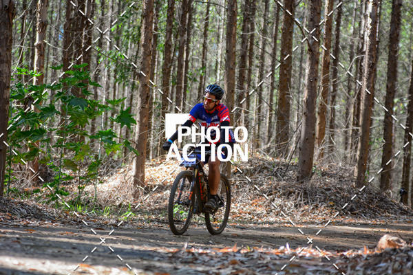 Buy your photos of the event16� Edi��o Maratona 100Km Canaviais on Fotop