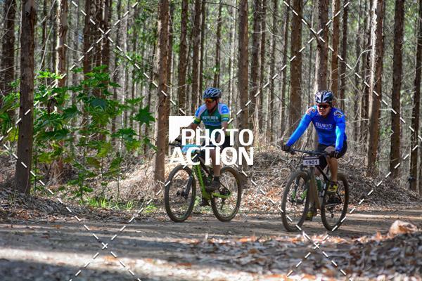 Buy your photos of the event16� Edi��o Maratona 100Km Canaviais on Fotop