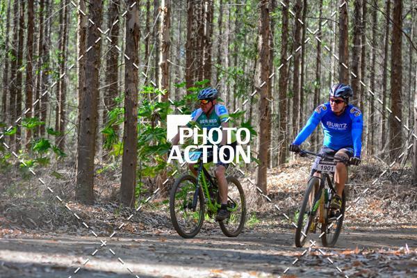 Buy your photos of the event16� Edi��o Maratona 100Km Canaviais on Fotop