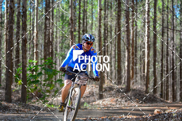 Buy your photos of the event16� Edi��o Maratona 100Km Canaviais on Fotop