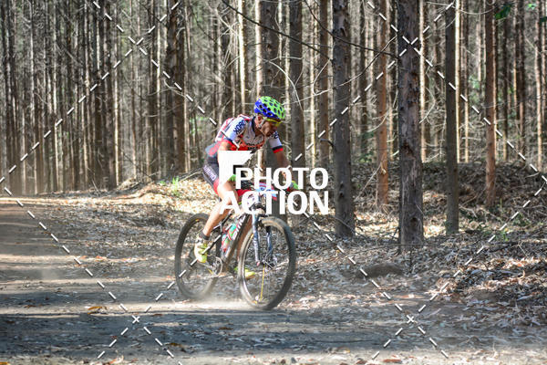 Buy your photos of the event16� Edi��o Maratona 100Km Canaviais on Fotop