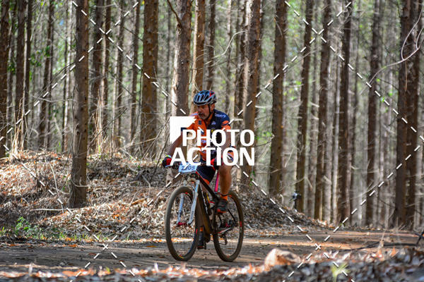 Buy your photos of the event16� Edi��o Maratona 100Km Canaviais on Fotop