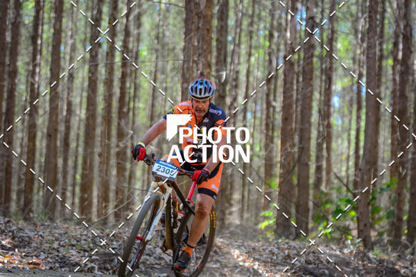 Buy your photos of the event16� Edi��o Maratona 100Km Canaviais on Fotop