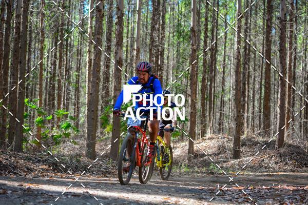 Buy your photos of the event16� Edi��o Maratona 100Km Canaviais on Fotop