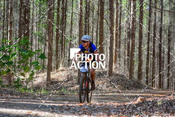 Buy your photos of the event16� Edi��o Maratona 100Km Canaviais on Fotop