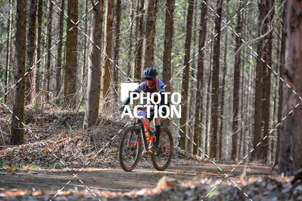 Buy your photos of the event16� Edi��o Maratona 100Km Canaviais on Fotop