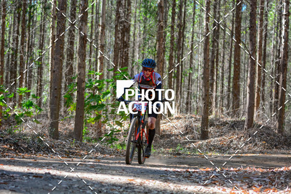 Buy your photos of the event16� Edi��o Maratona 100Km Canaviais on Fotop