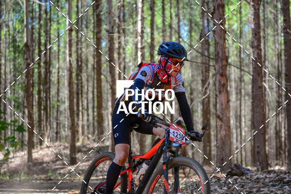 Buy your photos of the event16� Edi��o Maratona 100Km Canaviais on Fotop