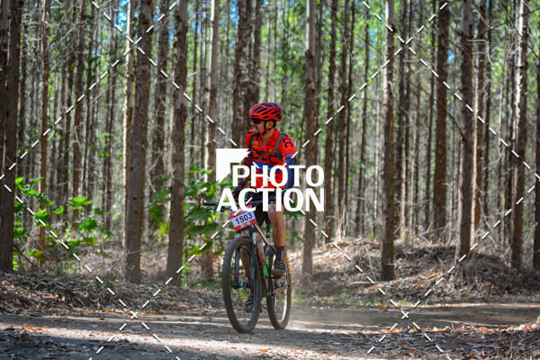 Buy your photos of the event16� Edi��o Maratona 100Km Canaviais on Fotop