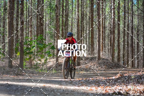 Buy your photos of the event16� Edi��o Maratona 100Km Canaviais on Fotop