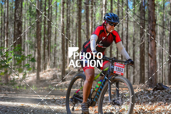 Buy your photos of the event16� Edi��o Maratona 100Km Canaviais on Fotop