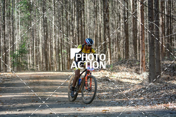 Buy your photos of the event16� Edi��o Maratona 100Km Canaviais on Fotop