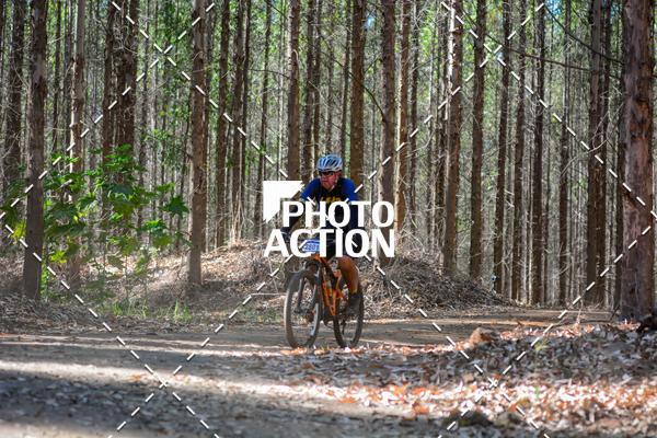 Buy your photos of the event16� Edi��o Maratona 100Km Canaviais on Fotop