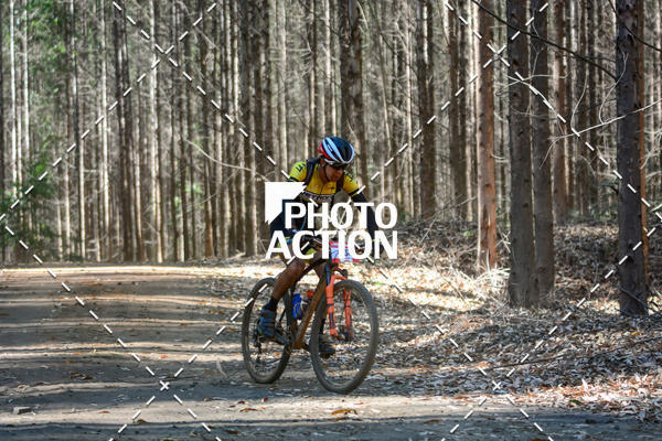 Buy your photos of the event16� Edi��o Maratona 100Km Canaviais on Fotop