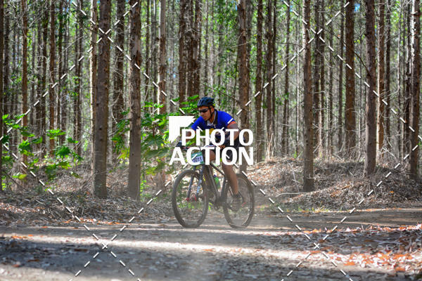 Buy your photos of the event16� Edi��o Maratona 100Km Canaviais on Fotop