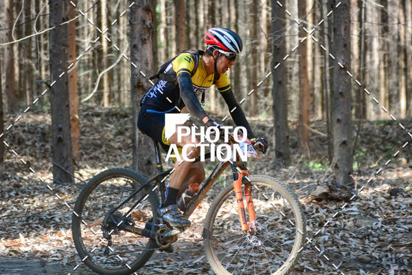 Buy your photos of the event16� Edi��o Maratona 100Km Canaviais on Fotop