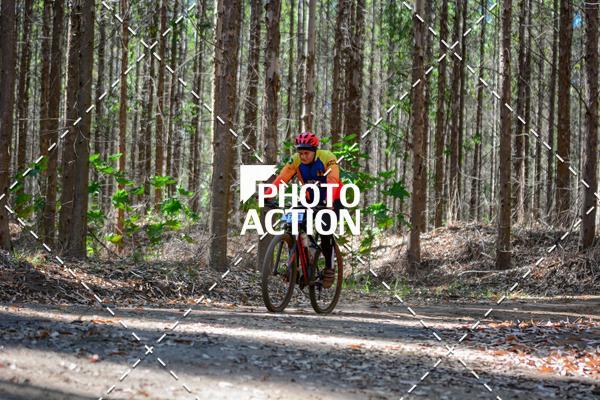 Buy your photos of the event16� Edi��o Maratona 100Km Canaviais on Fotop