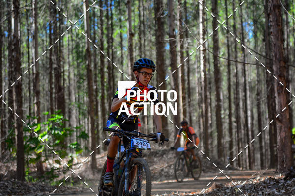 Buy your photos of the event16� Edi��o Maratona 100Km Canaviais on Fotop