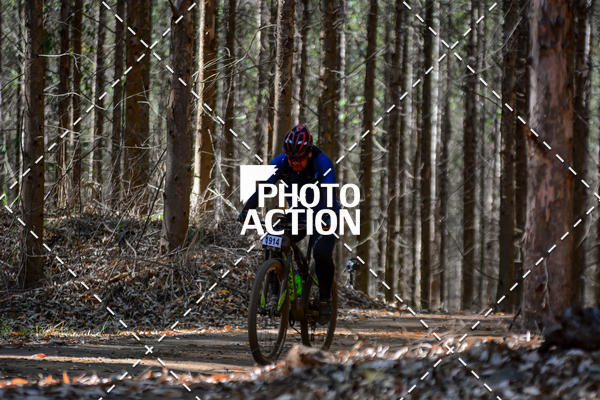 Buy your photos of the event16� Edi��o Maratona 100Km Canaviais on Fotop