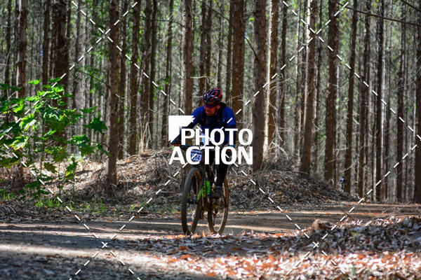 Buy your photos of the event16� Edi��o Maratona 100Km Canaviais on Fotop