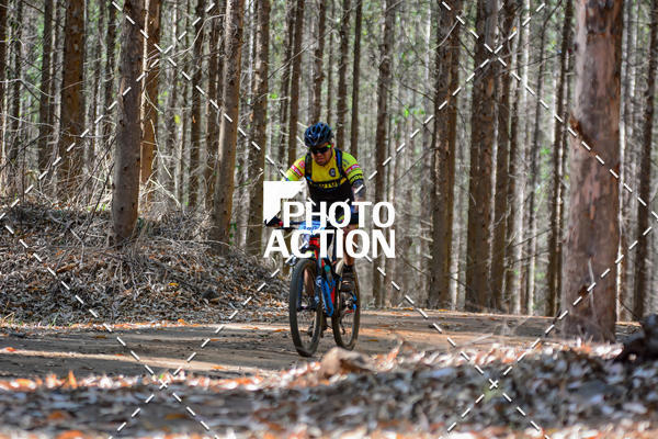 Buy your photos of the event16� Edi��o Maratona 100Km Canaviais on Fotop