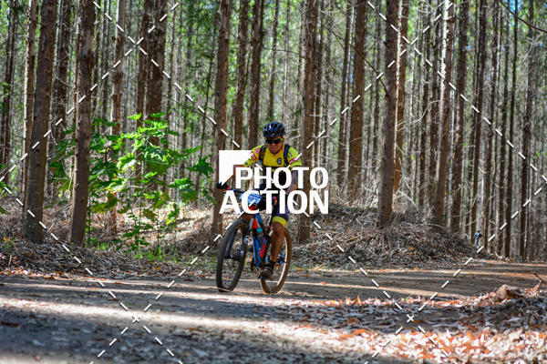 Buy your photos of the event16� Edi��o Maratona 100Km Canaviais on Fotop