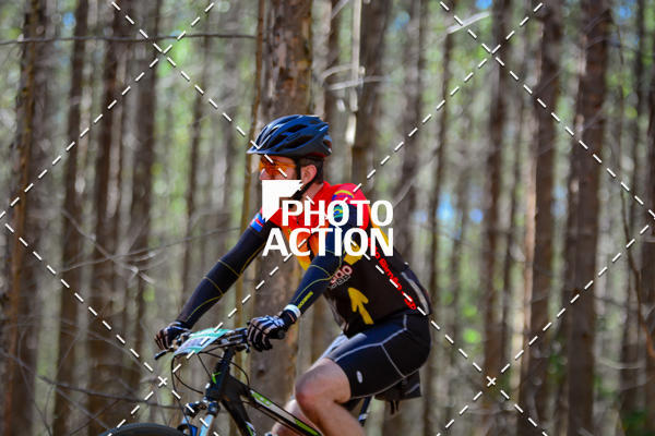 Buy your photos of the event16� Edi��o Maratona 100Km Canaviais on Fotop