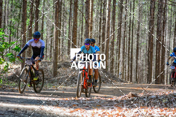 Buy your photos of the event16� Edi��o Maratona 100Km Canaviais on Fotop