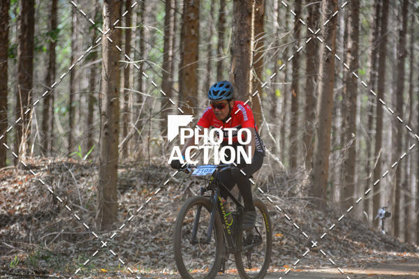 Buy your photos of the event16� Edi��o Maratona 100Km Canaviais on Fotop