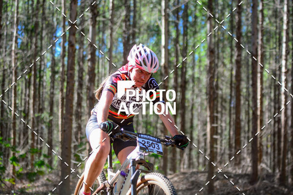 Buy your photos of the event16� Edi��o Maratona 100Km Canaviais on Fotop