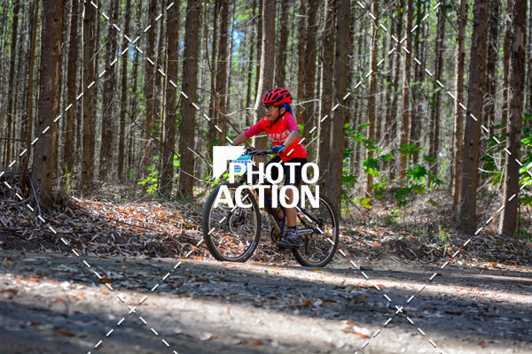 Buy your photos of the event16� Edi��o Maratona 100Km Canaviais on Fotop